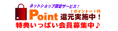 空手衣の（株）東京堂インターナショナル(旧（株）東京守礼堂IN )