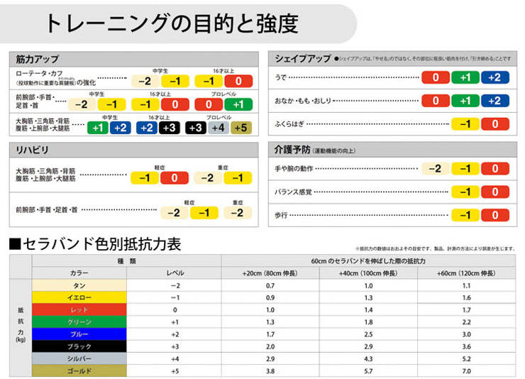 トレーニング,セラバンド,セラチューブ,Thera-Band,D&M